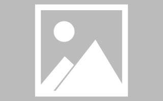 上海网页设计展示ppt下载（网页设计ppt汇报）